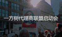 一方树代理商联盟启动会：展示健康艺术板材，引领家居市场新潮流