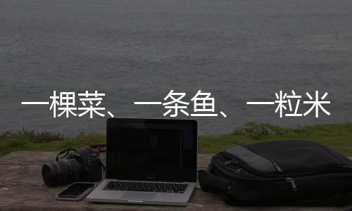年轻农他在瞄准市场空白