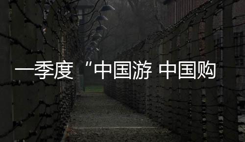 提升退税商店可及性