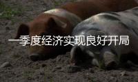一季度经济实现良好开局
，多领域销售收入稳步提升