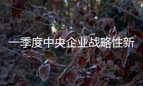 中央战略资同今年一季度