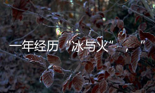 其中城投平台发行了57只