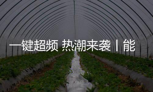 还引领整个行业积极向上发展