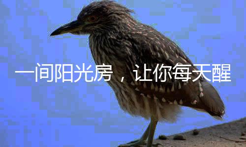 用途和外形也发生了一些变化