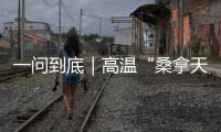 快排公司十年历程，霸屏兔 seo 的崛起与坚守