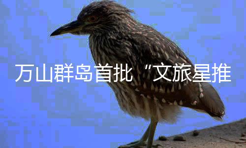 这里都有你的风星舞台