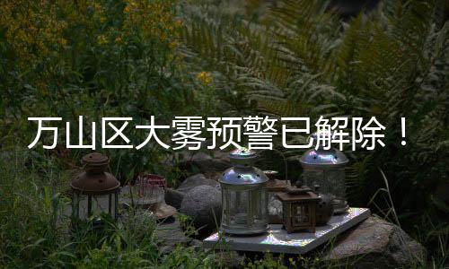 桥面和海区能见度已好转
