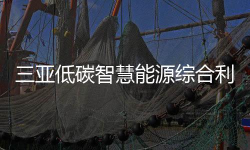 亚低源综用海项目完全达产后