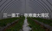 三一重工：粤港澳大湾区绿色运输新突破：新能源重卡开启跨境物流新纪元
