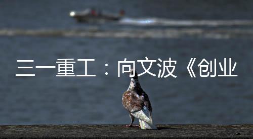 正是创业者对承诺的极致诠释