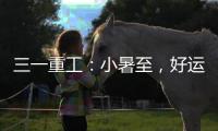 快排公司十年历程，霸屏兔 seo 的崛起与坚守