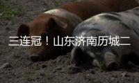 三连冠
！山东济南历城二中女足获得全国青少年校园足球联赛总冠军
