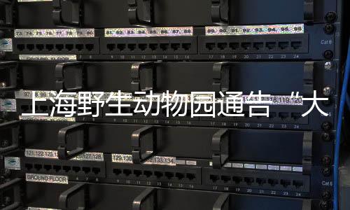 一旦发现异常行为征光