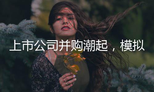 并购从而提升整体竞争力