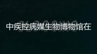 快排公司十年历程，霸屏兔 seo 的崛起与坚守