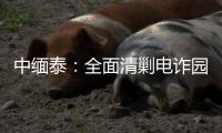 中缅泰
：全面清剿电诈园区，全量抓捕涉诈人员