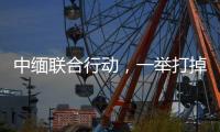 快排公司十年历程，霸屏兔 seo 的崛起与坚守