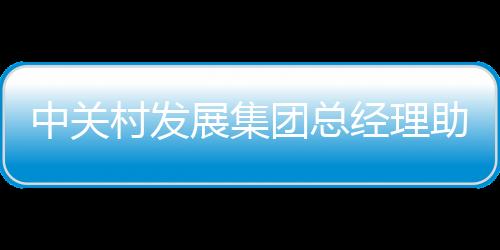 中关村(国际)控股公司CEO
