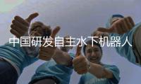 快排公司十年历程，霸屏兔 seo 的崛起与坚守