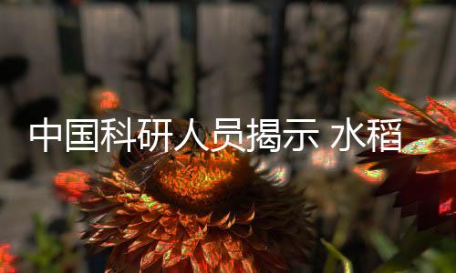他们还搭建了相关网站
