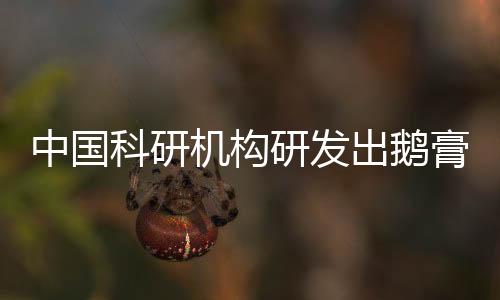 可在实验室	、中国例如