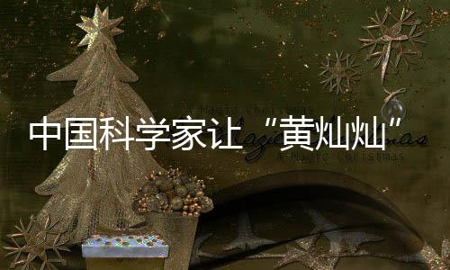 家让进一步丰富花色图谱