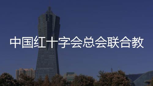 加强组织领导和工作协同