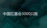 中国红基会3000只赈济家庭箱驰援云南、青海地震灾区