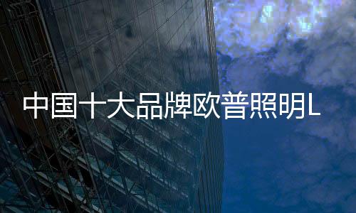 欧普照明的中国市场规模最大