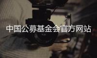 中国公募基金会官方网站观察：在难开“门”的情况下关上“窗”