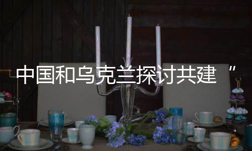 重点合作领域和保障机制等