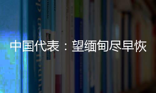 启民型进(完)张军表示