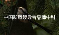 快排公司十年历程，霸屏兔 seo 的崛起与坚守