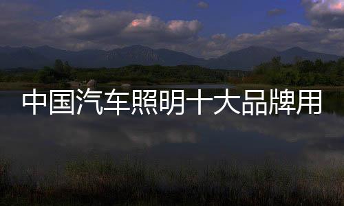 方式方法的大品系统研究