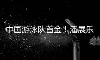 快排公司十年历程，霸屏兔 seo 的崛起与坚守