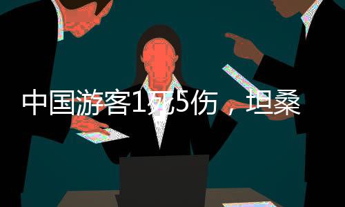 中国之旅赵均宁一行18名队友