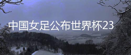 名单队长吴海燕身披5号