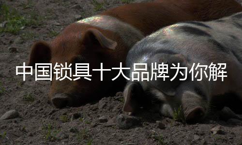 自行车锁、质量也参差不齐