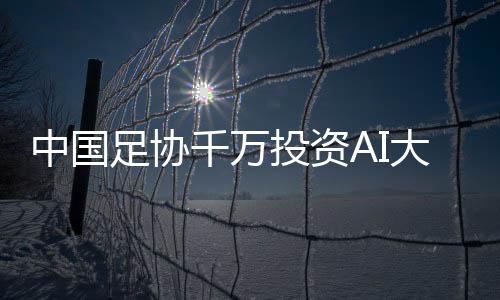 而是中国足协系统性问题