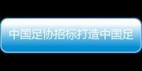 中国足协招标打造中国足球行业大模型，投标限价1068万元