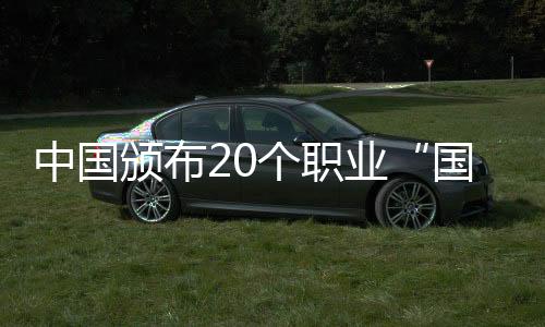具有相应的计算能力