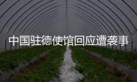 中国驻德使馆回应遭袭事件：无伤亡 嫌疑人被当场抓获