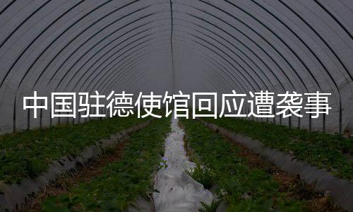 中国驻德遭袭3月10日清晨