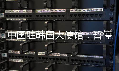 中国驻韩暂停就医
、国大公民