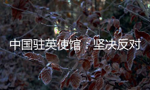 台湾问题纯属中国内政