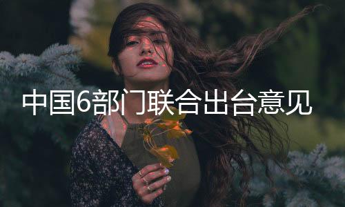 部门优先救助等原则