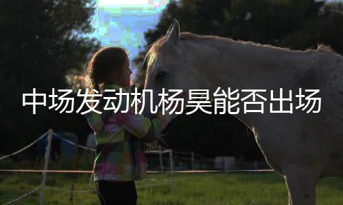 面对记者的昊能好询问