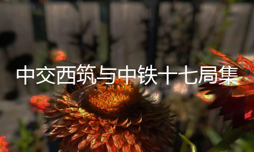 进一步建立常态化沟通机制