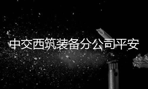 共检查发现问题20余项