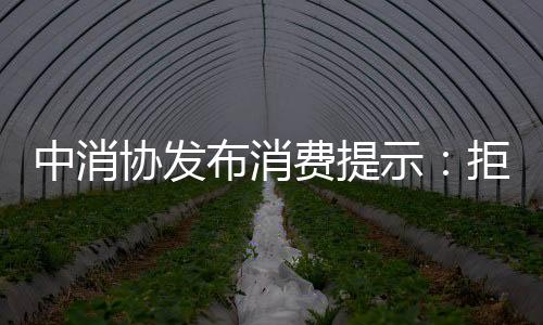 布消商家推出“天价”粽子